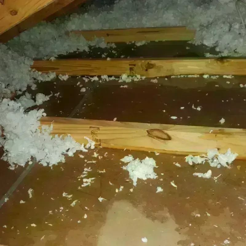 Attic Water Damage in Humacao, PR